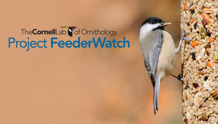 Birdspotter Wild Birds Unlimited Wild Birds Unlimited