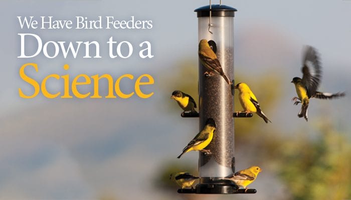 Home Wild Birds Unlimited