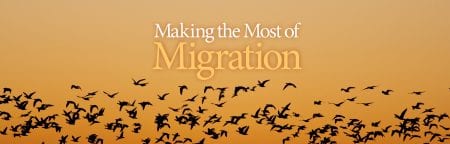 Making the Most of Migration