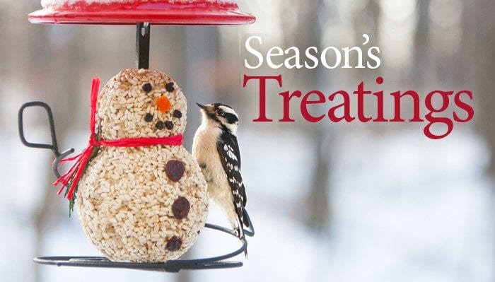 Give the Gift of Bird Feeding this Holiday Season