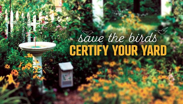 Certify Your Yard Wild Birds Unlimited Wild Birds Unlimited