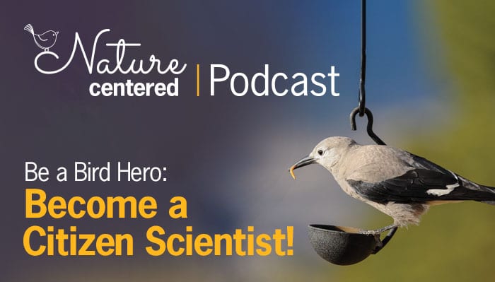 Become a Citizen Scientist