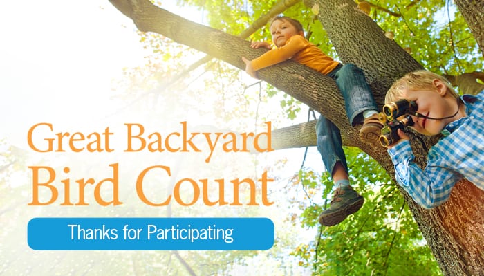 Thank you for participating in the Great Backyard Bird Count!