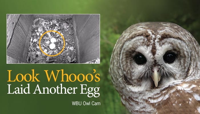 Wild Birds Unlimited Nature Shop
