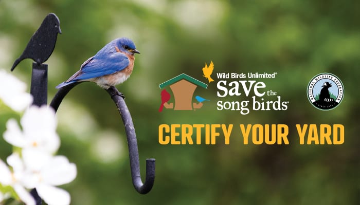 Certify Your Yard