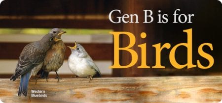 Gen B is for Birds