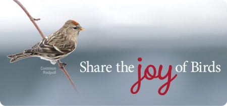 Share the Joy