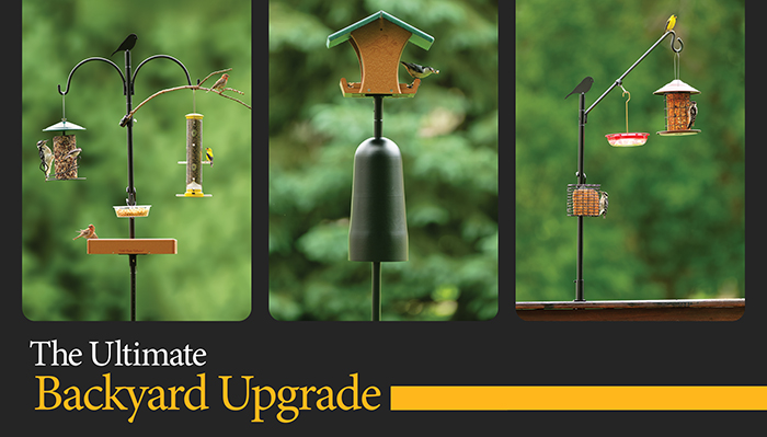 Advanced Pole System